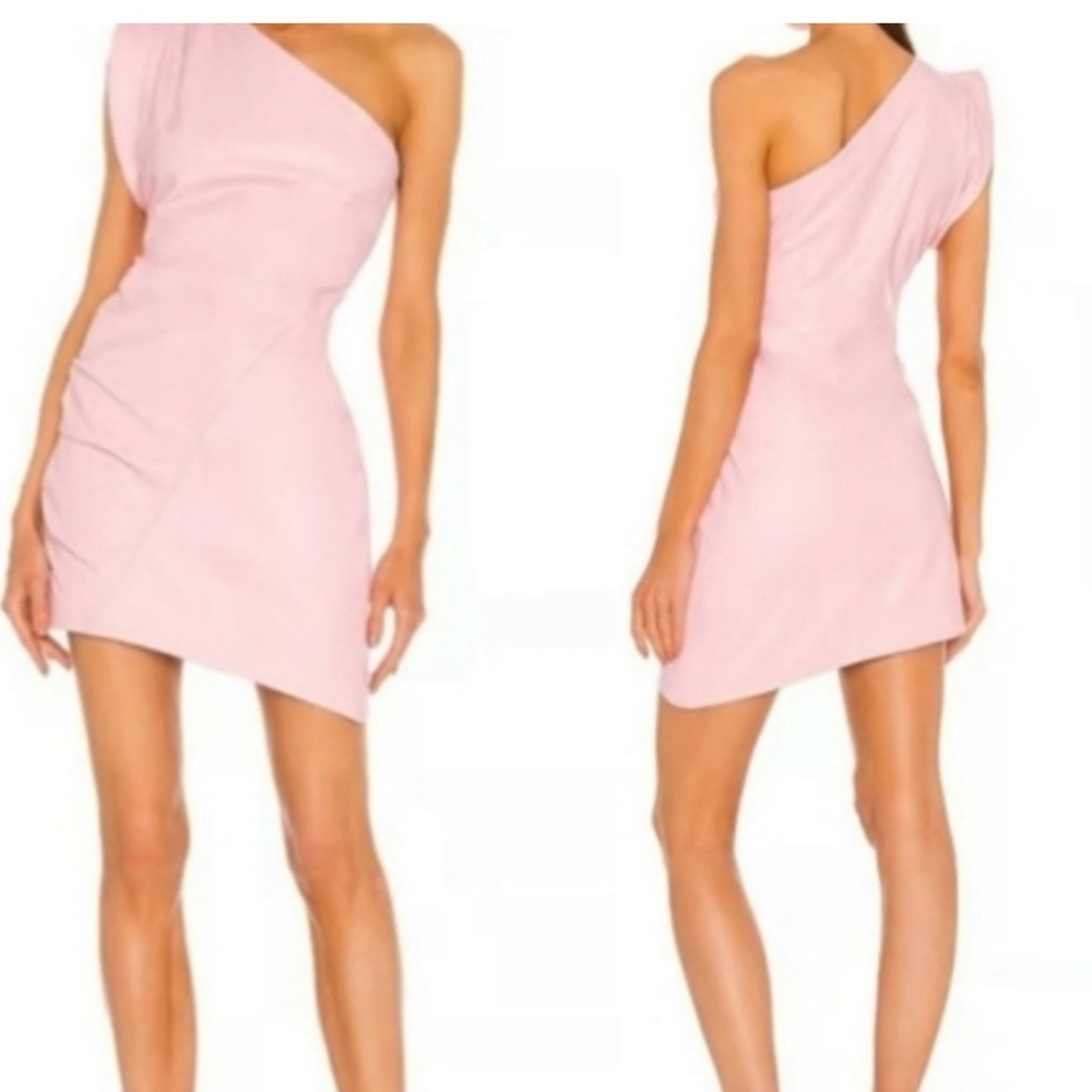 Lamarque Corey Mini Dress in Pink